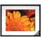 Gallery Black Wall Frame with Double Mat by Studio Décor®